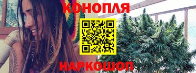 сатива Берёзовский