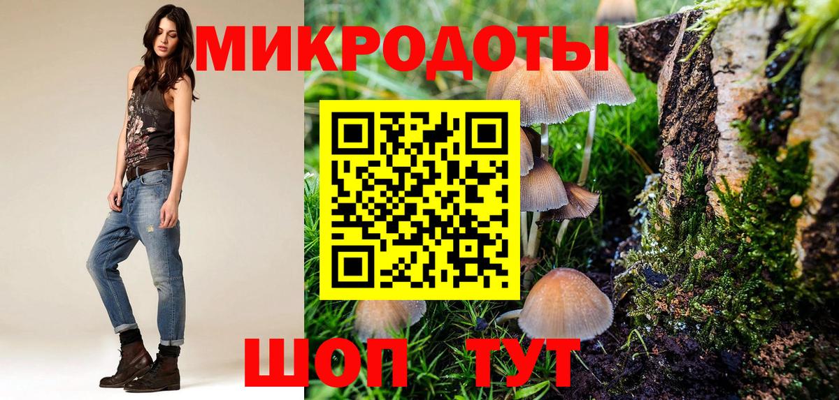 Галлюциногенные грибы Psilocybe Ишимбай