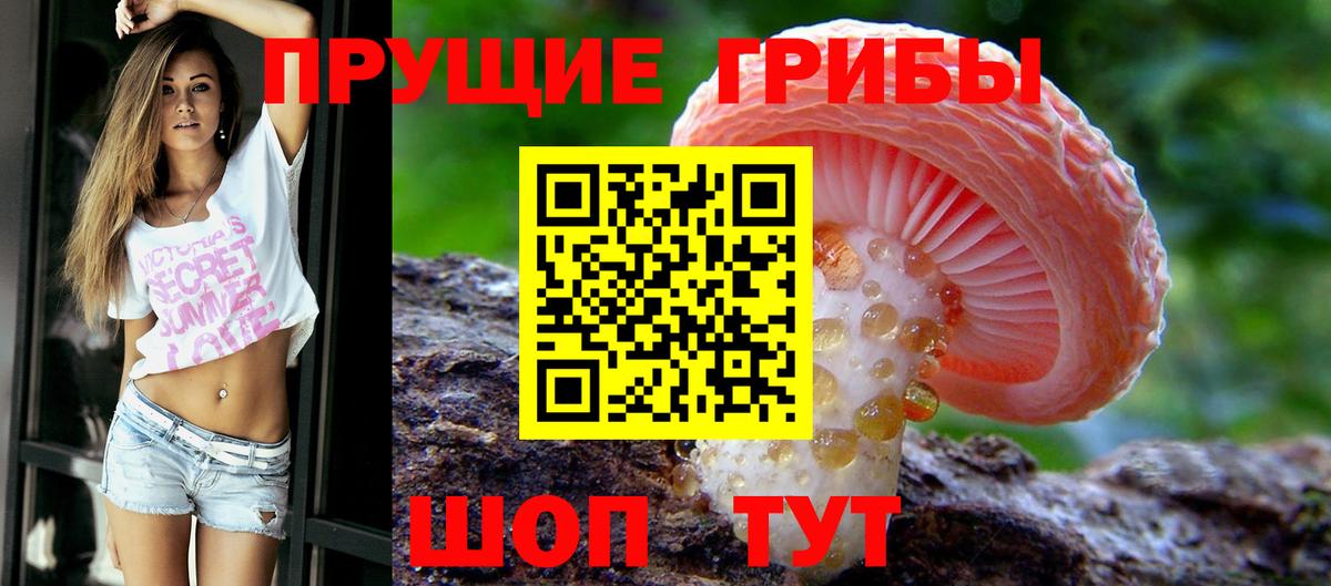Ишимбай  Псилоцибиновые грибы MAGIC MUSHROOMS  Вход с VPN 
